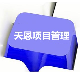 天恩-中電普瑞EPM電力工程項(xiàng)目管理系統(tǒng)